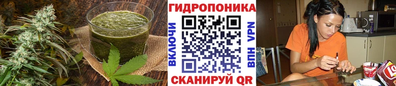 Печенье с ТГК марихуана  что такое наркотик  Аша 